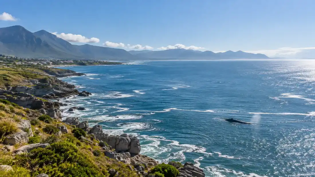 Hermanus lifestyle