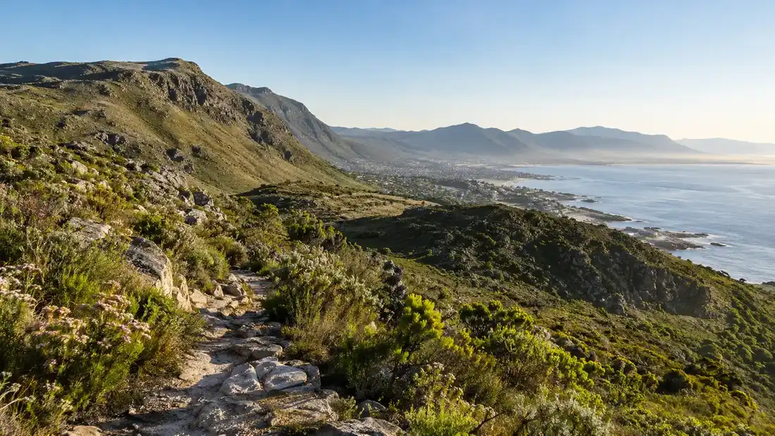 Hermanus lifestyle