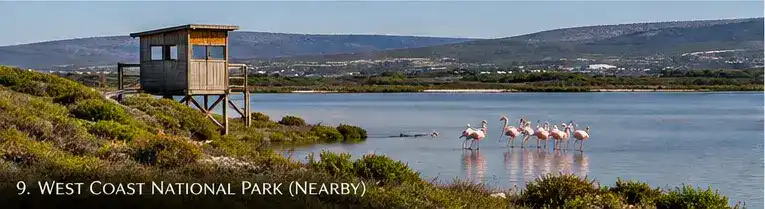 Yzerfontein lifestyle
