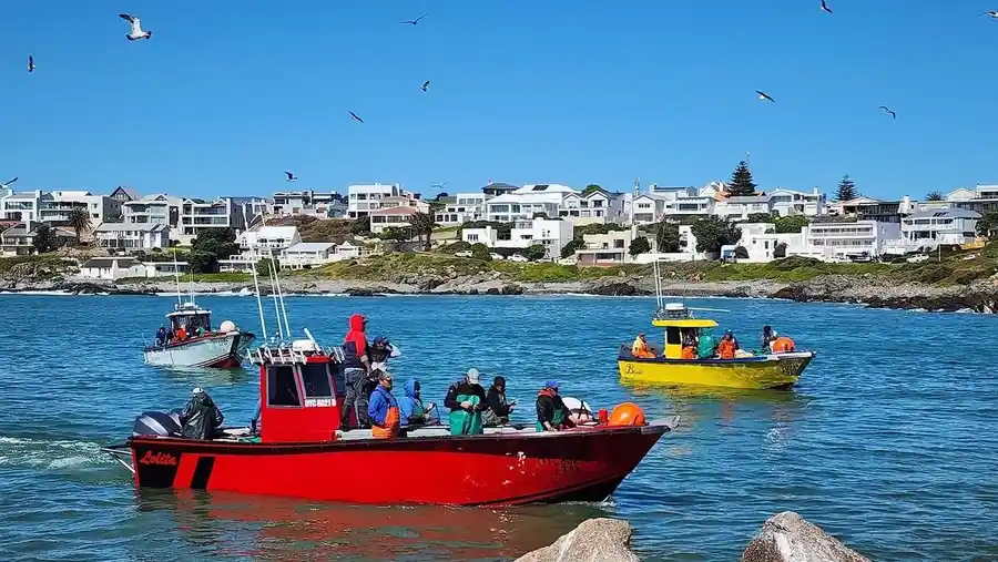 805m² Vacant Erf – 13 S F Sauerman Street, Yzerfontein – photo 16