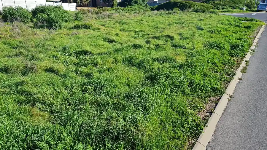 609m² Vacant Stand – Old Yzerfontein – photo 4