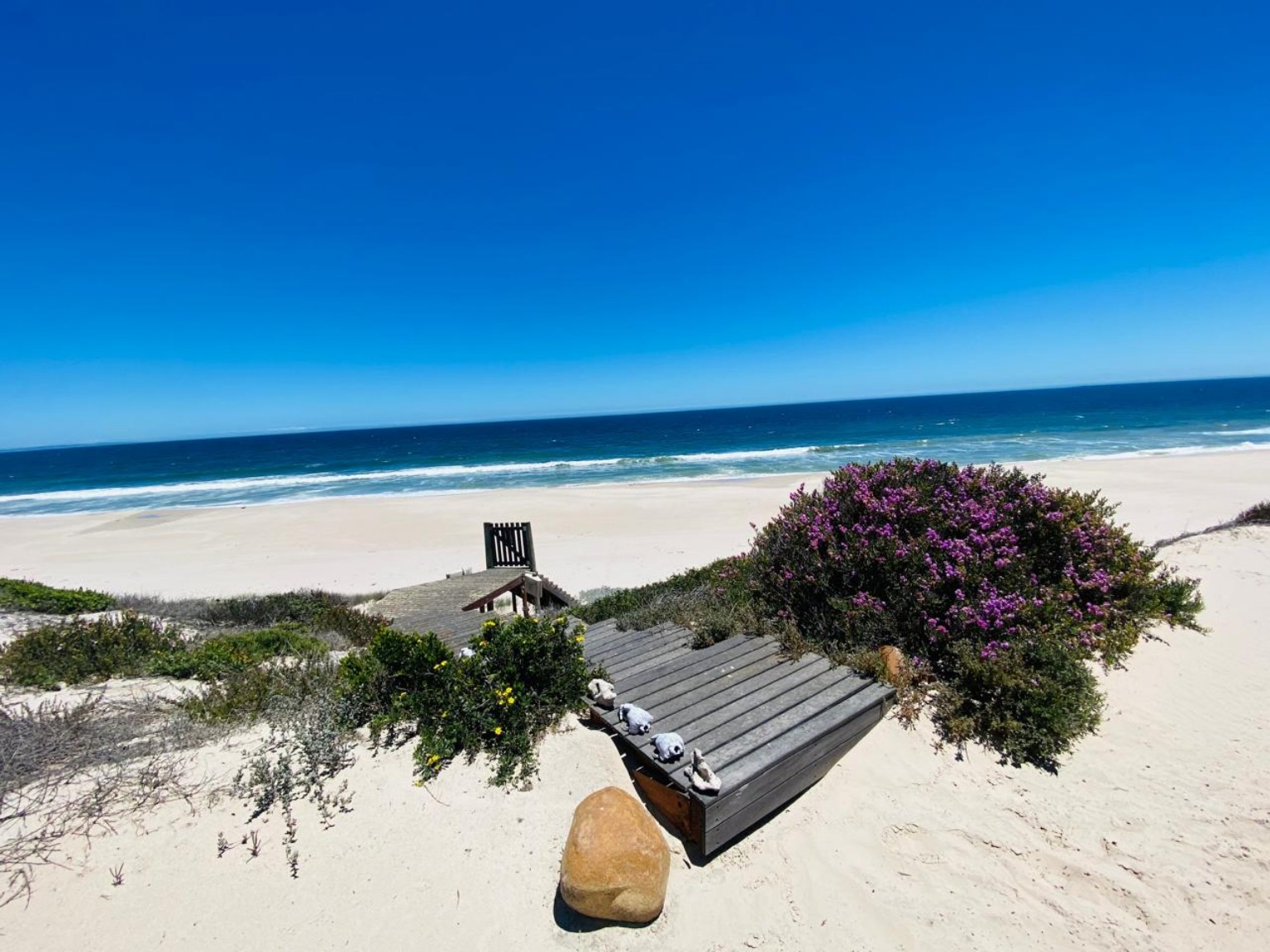 West Coast beach and dunes