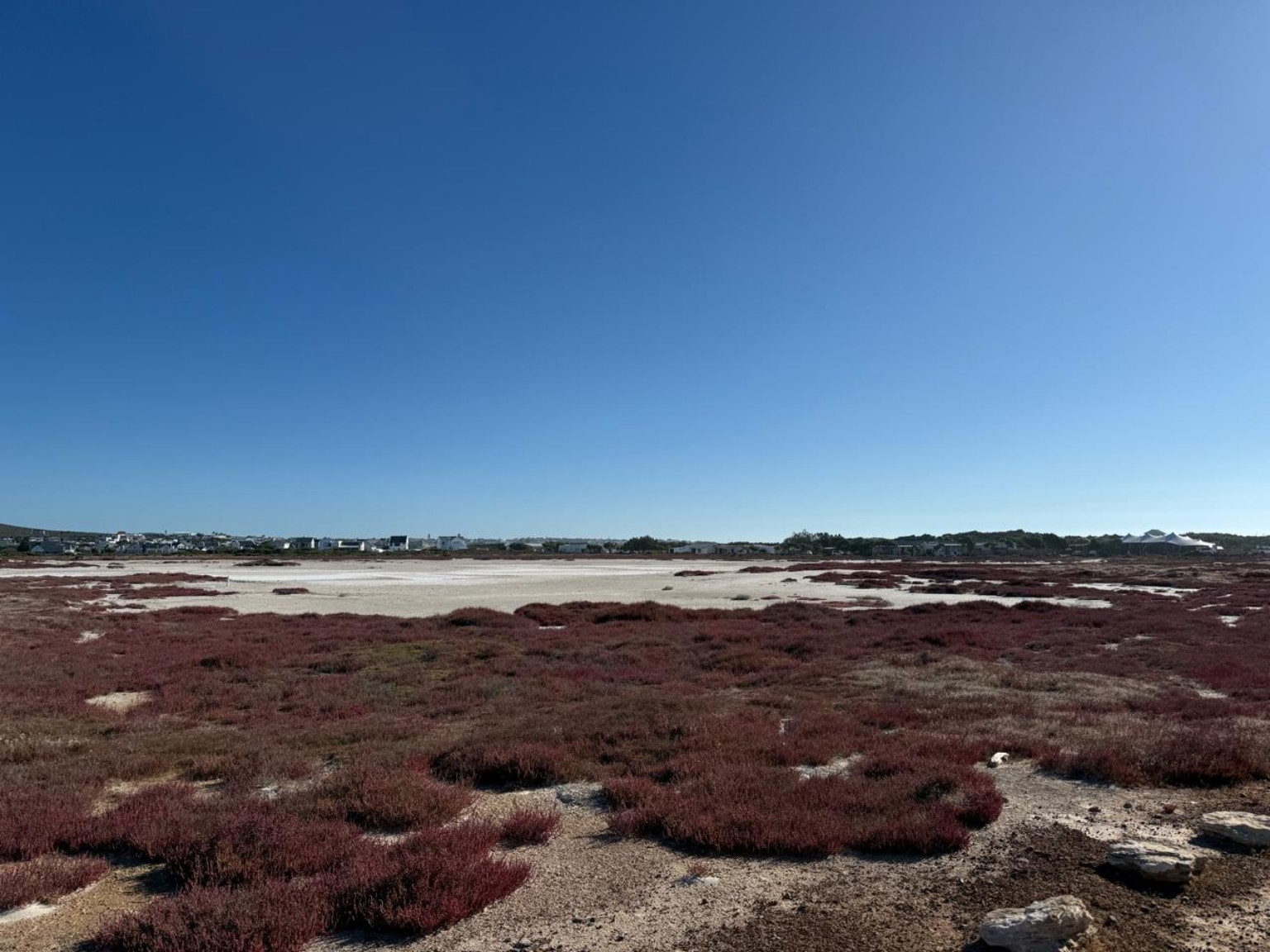 West Coast fynbos landscape